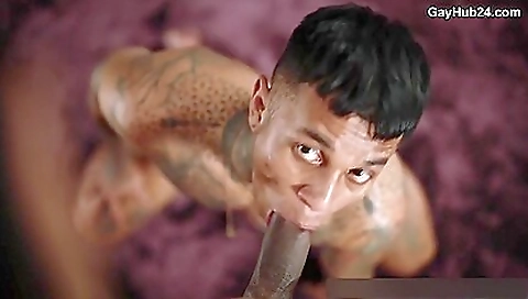 Horny lesbian enjoys licking pussy Horny lesbian enjoys licking pussy